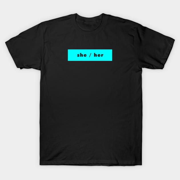 she / her - cyan T-Shirt by banditotees